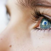 Brooklyn Retinal Vascular Center
