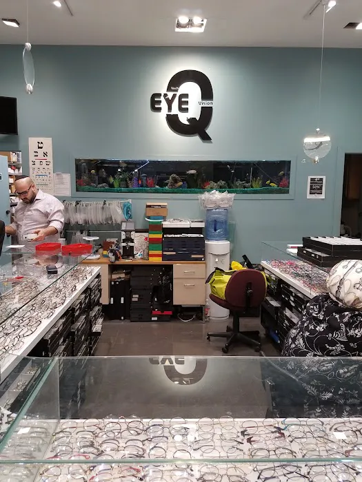 Eye Q vision 4