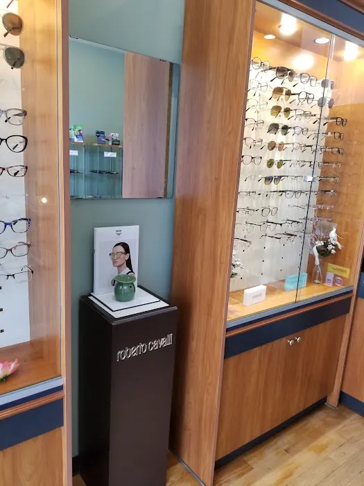 Wynn Optics 4