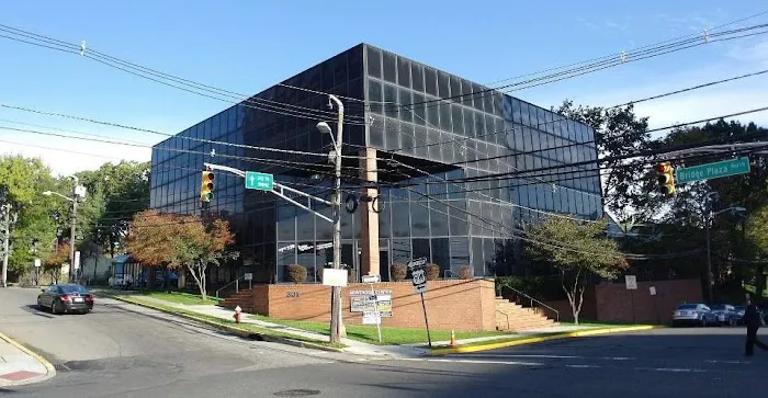 Bridge Opticians 4