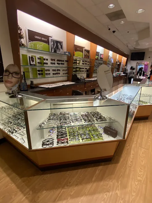Cohen's Fashion Optical 4