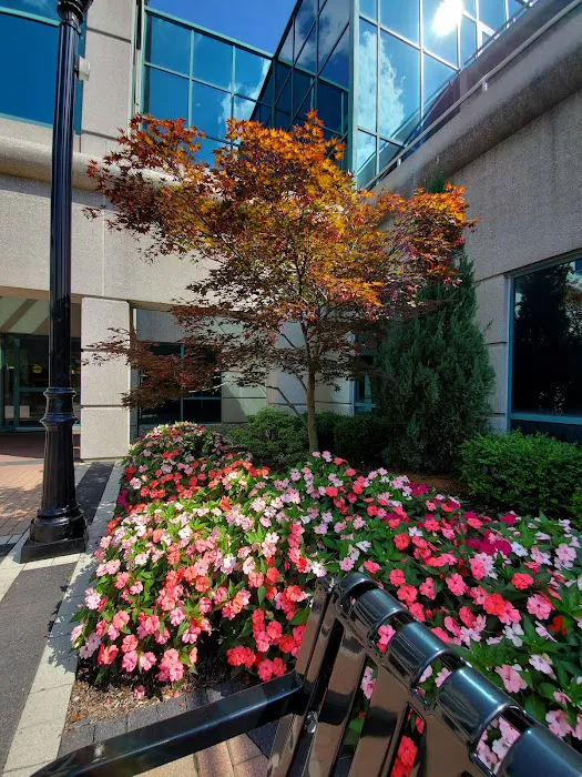 Corneal Associates of New Jersey 3