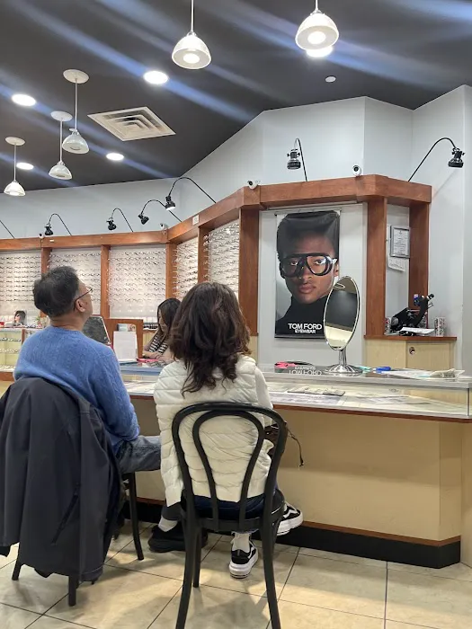 Cohen's Fashion Optical 4