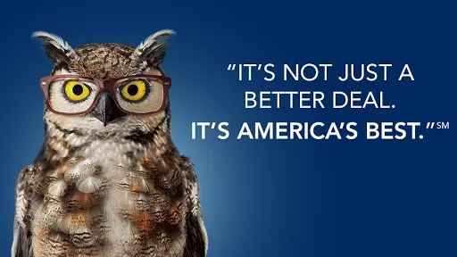 America's Best Contacts & Eyeglasses 5