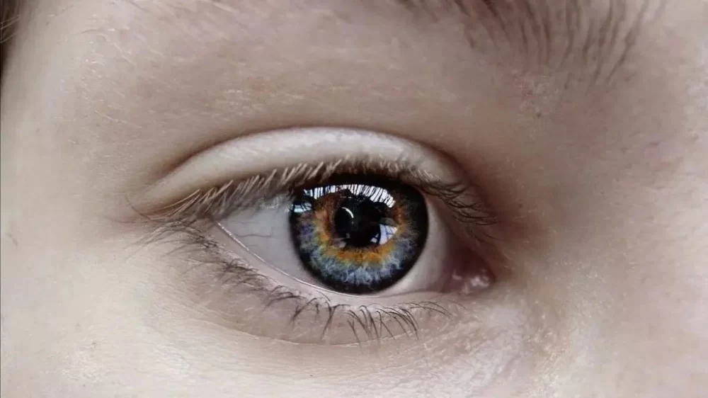 Effective Exercises to Improve Your Vision at Home for Better Eye Health
